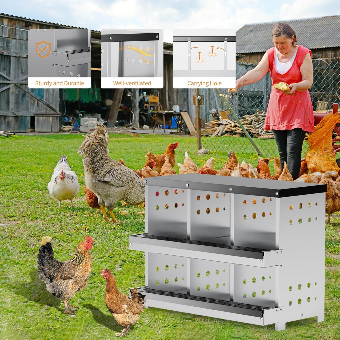 Chicken Nesting Box 6 Compartment for Chicken Coop - Heavy Duty Galvanized Steel Wall Mount with Vented Design & Removable Mats (31.9" L)