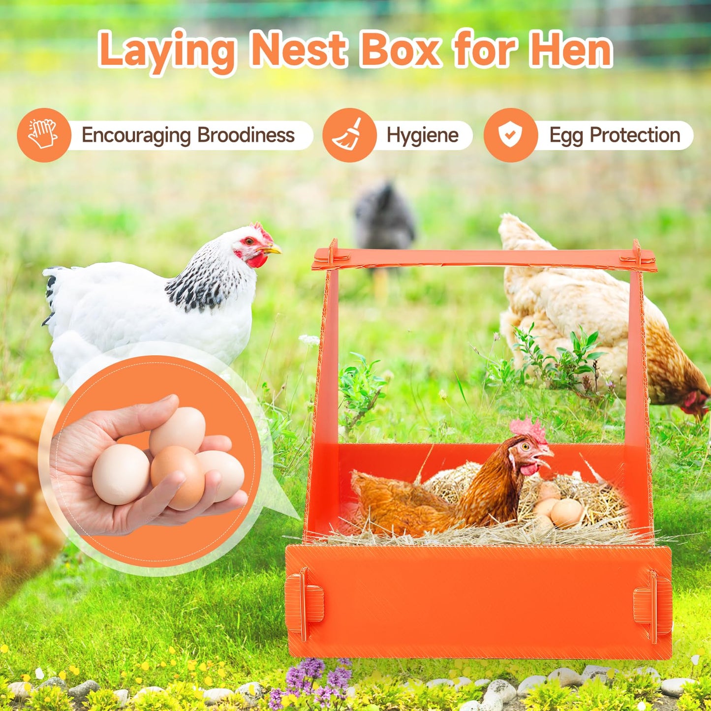 EARTHSON Orange 4 Pack Nesting Boxes for Chickens, Plastic Chicken Coop with 1 x Chicken Feeder, Indoor/Outdoor Use