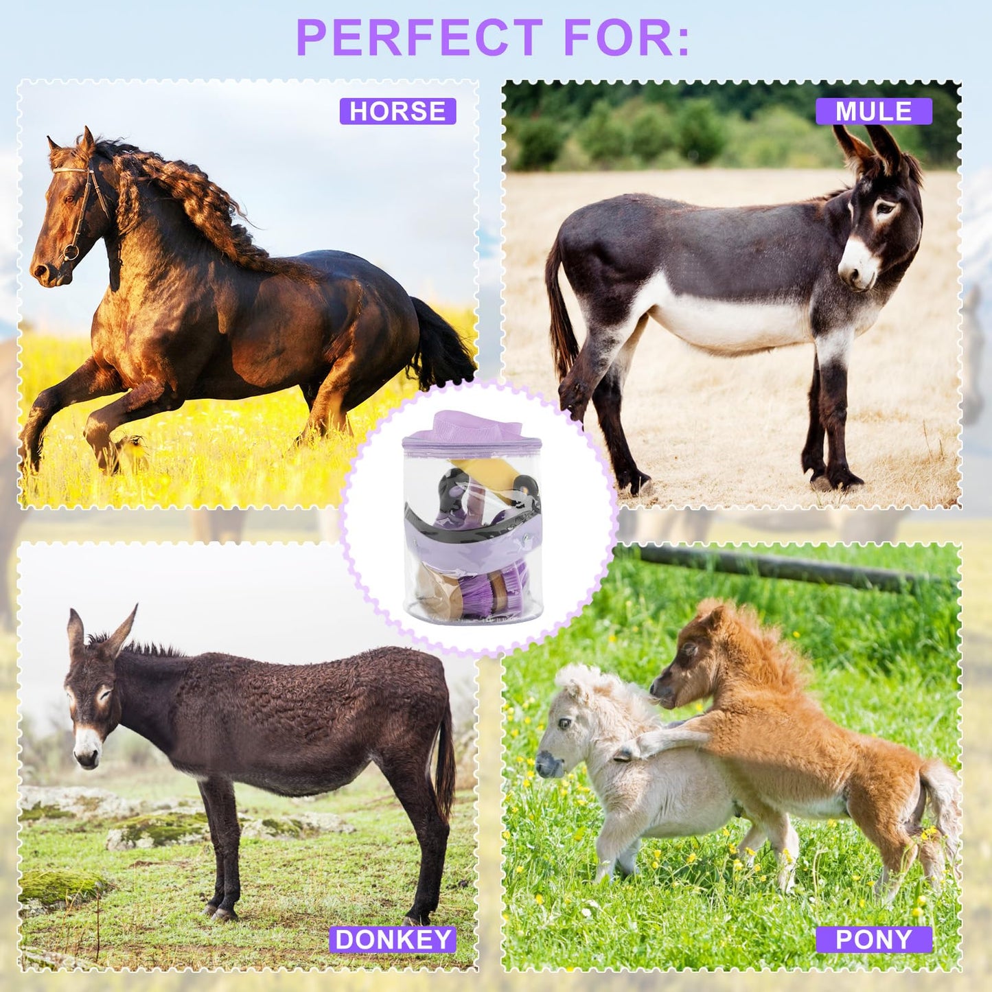 GINDOOR 9 Pieces Grooming Kit with Tote Bag, Sweat Scraper, Sponge, Hoof Pick, Curry Comb for Horse Riders Beginners (Purple)