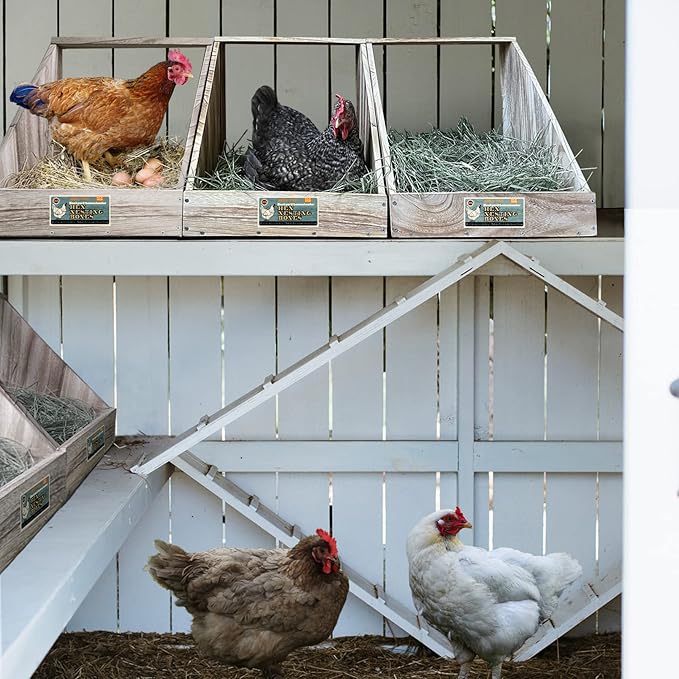 Single Compartment Hens Nesting Box, Chicken Coop Accessories, Wood Nesting Boxes for Up to 5 Hens, Big Duty Laying Nest Box for Duck and Poultry(1 Pack)