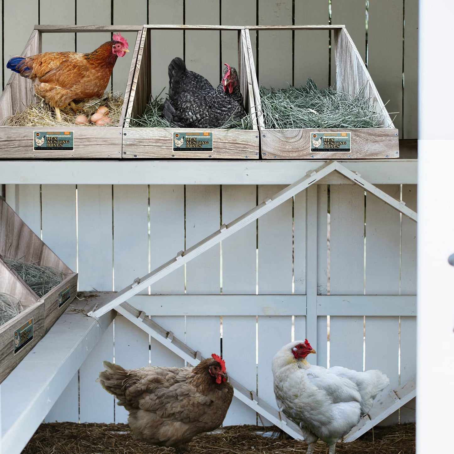 Single Compartment Hens Nesting Box, Chicken Coop Accessories, Wood Nesting Boxes for Up to 5 Hens, Big Duty Laying Nest Box for Duck and Poultry(1 Pack)