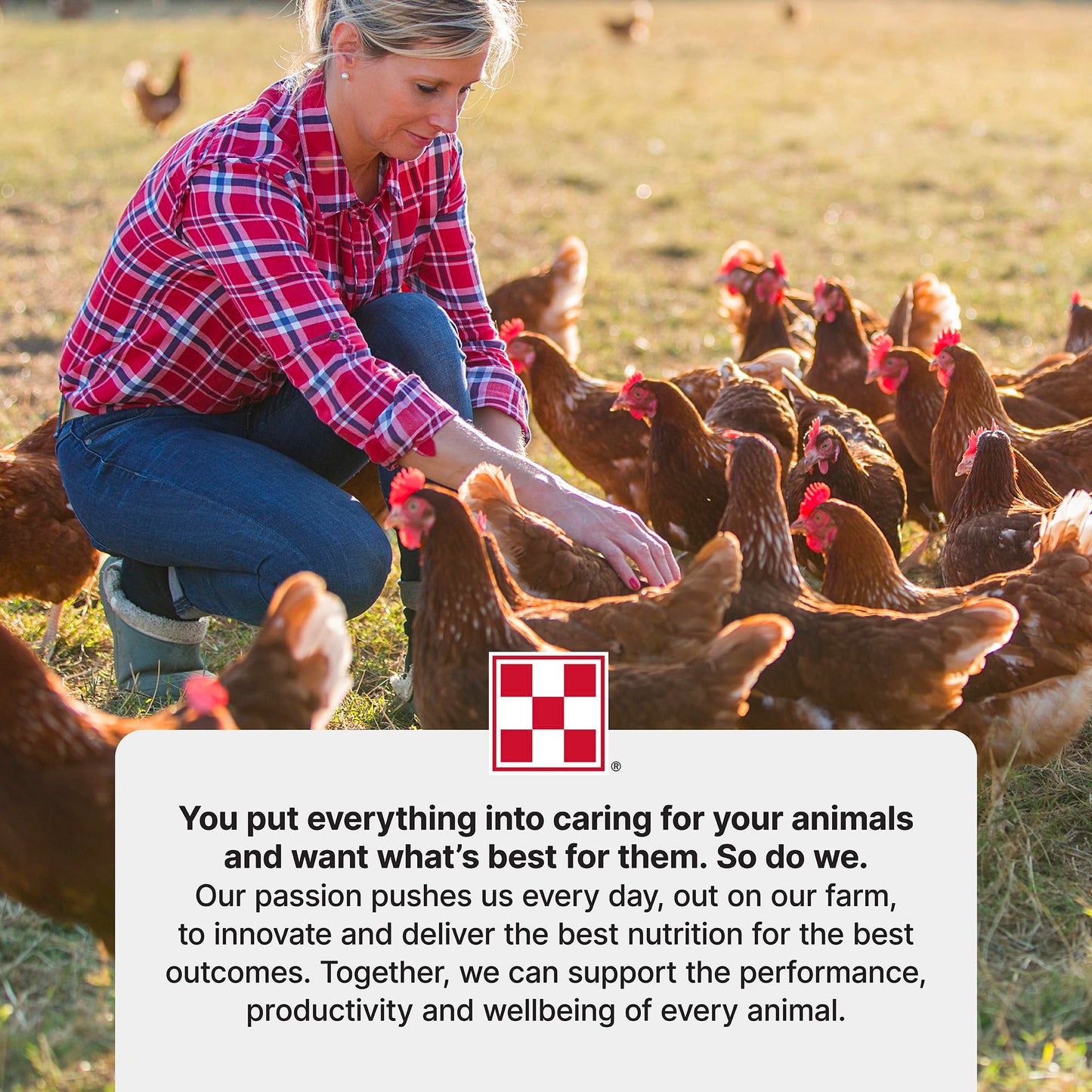 Purina® Layena®+ Omega-3 Chicken Feed Pellets, 10 Pound Bag