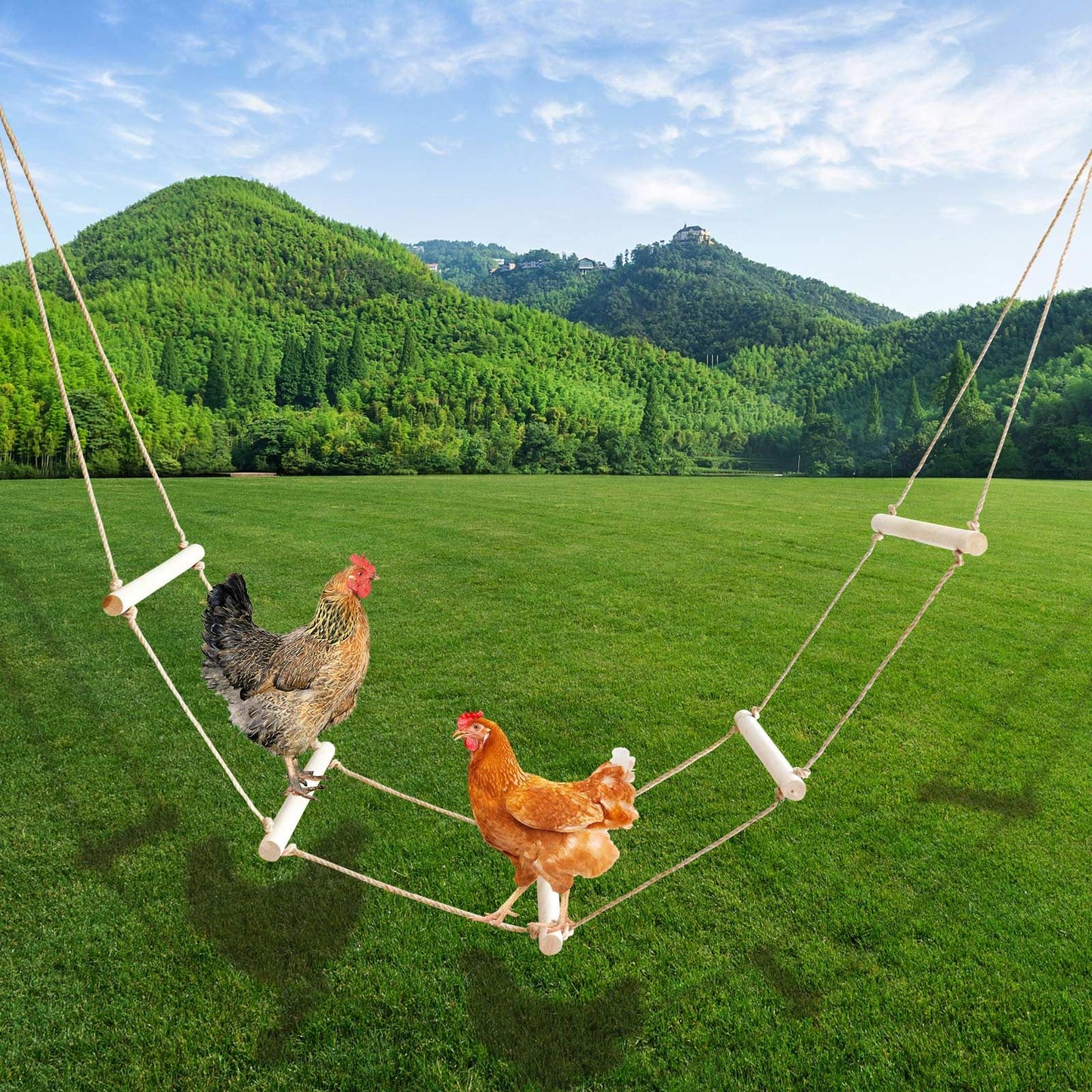 Extra Long Chicken Perch Stand, Natural Wood Chick Swing Toy for Coop, Chicken Coop Accessories, Chicken Roosting Bars, Outdoor Perch Toy for Poultry Chicken Chick Hens Large Bird Parrot 138 × 16 Inch