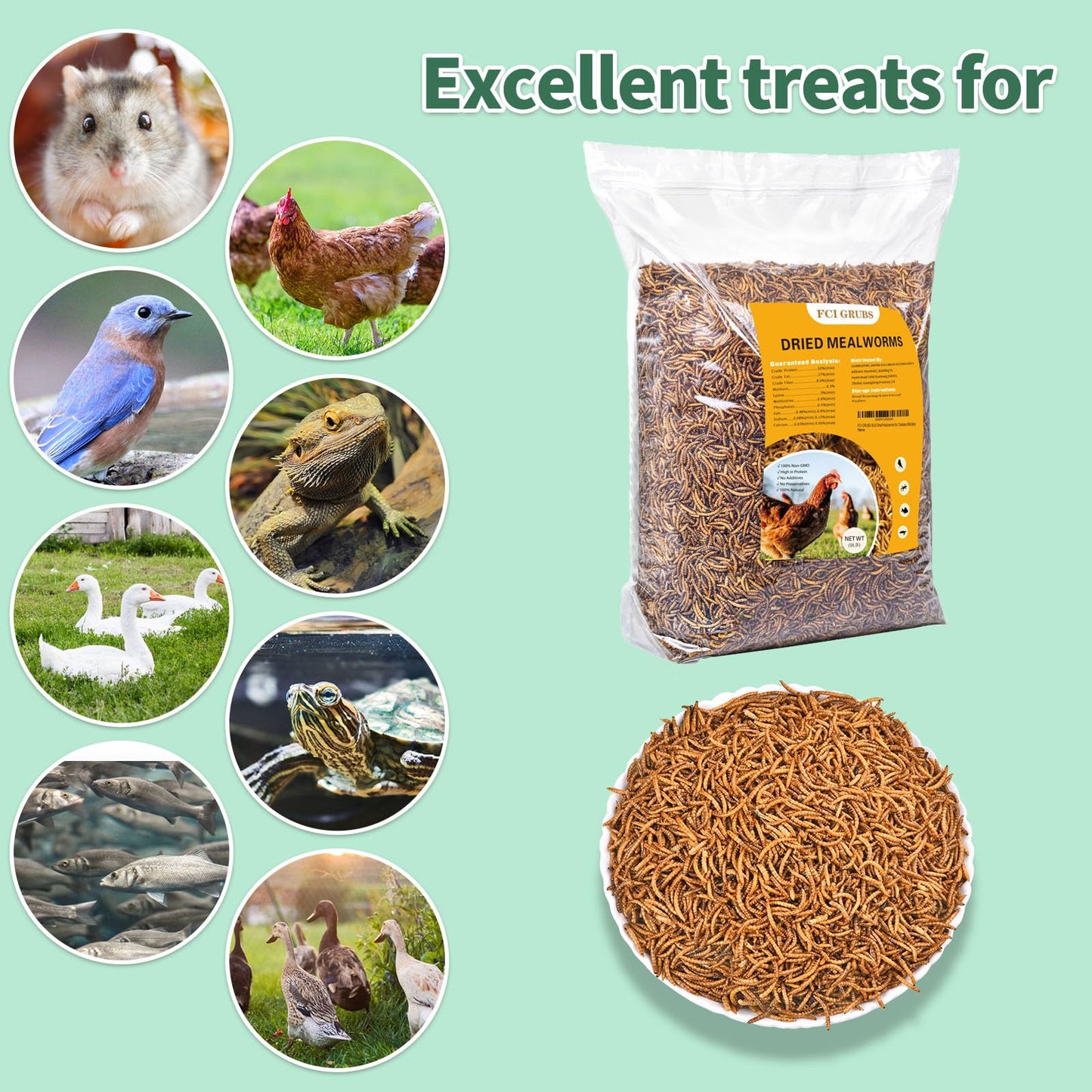 FCI GRUBS Dried Mealworms 5LB-High Protein Chicken Feed,More Protein,No Additives,Premium Organic Non-GMO,Rich in Protein Meal Worms for Chickens,Wild Birds,Laying Hens,Turkeys-Nutrient-Rich Mealworms