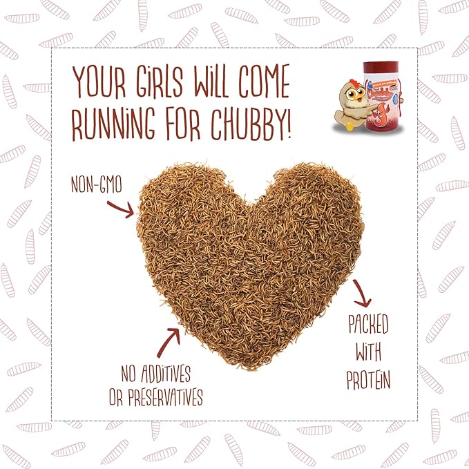 Chubby Dried Mealworms 3Lb Premium Non-GMO Dried Mealworms for Chickens High Protein Chicken Feed Meal Worms for Wild Birds