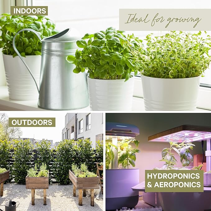 15 Certified Organic Herb Seeds Variety Pack (4X More) 10,000+ Non GMO Seeds for Planting Indoor Herb Garden or Outdoor Herb Garden Seeds for Planting | Including Basil, Rosemary & More