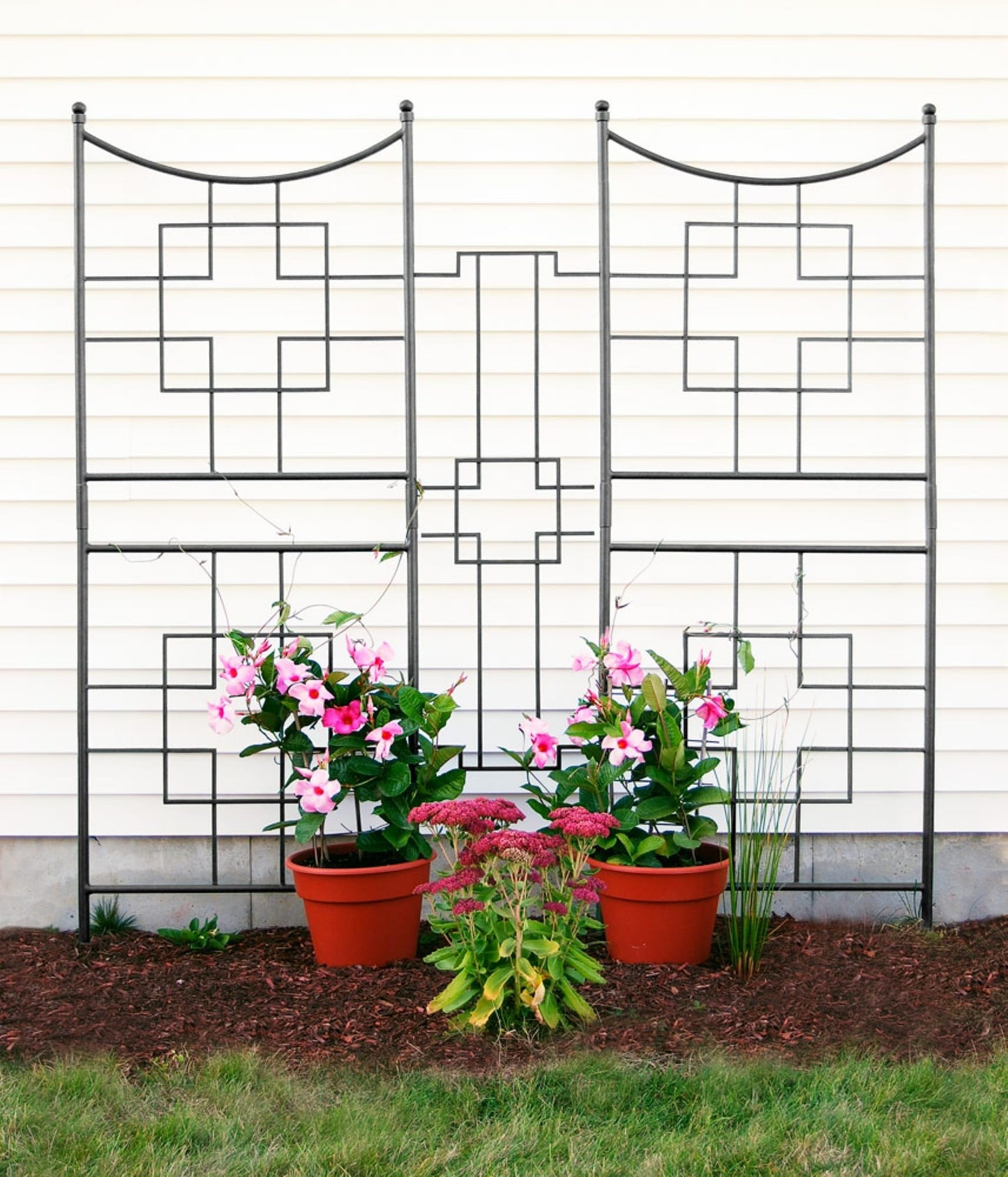 Square-on-Squares Trellis