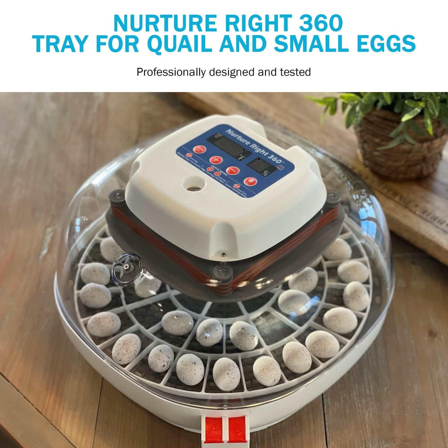 Incubator Warehouse Egg Trays for 48 Small (Quail/Bird) Eggs - Durable Egg Tray for Nurture Right 360 Egg Incubator - Hand Washable Eggs Keeper for Chicken Goose Turkey Emu (Various Sizes)