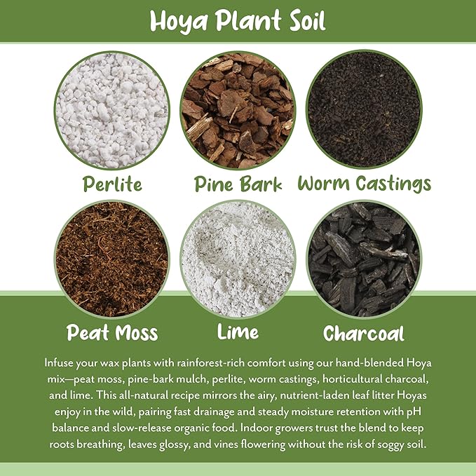 Hoya Plant Potting Soil Mix (8 Quarts), Custom Blend for Growing Hoya Tropical Houseplants