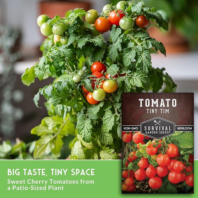 Survival Garden Seeds - Tiny Tim Tomato Seeds for Planting - 1 Pack with Instructions to Grow in Your Home Vegetable Garden - Non-GMO Heirloom Variety
