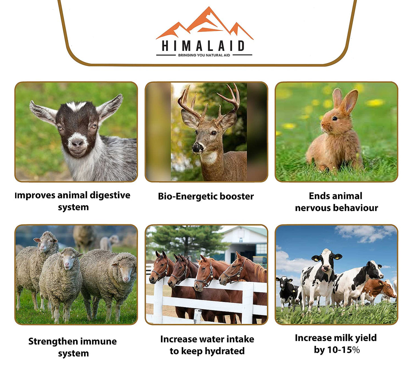 Himalaid Himalayan Pink Salt Lick (6 LBS Pack of 6) - 100% Pure & Natural Feed Salt Block | Natural Minerals and Trace Elements, for Livestock and Wildlife Animals