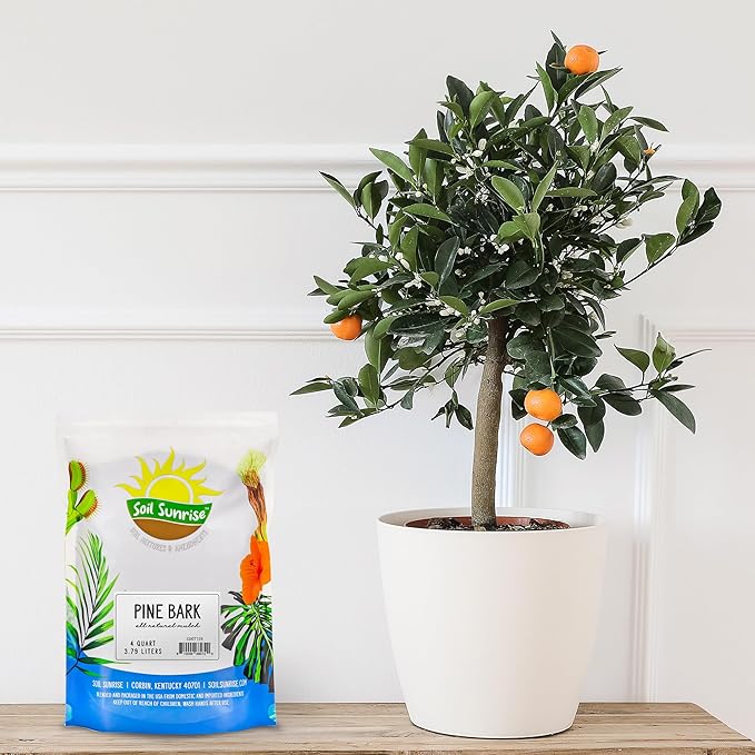 100% Natural Pine Bark Mulch Nuggets (4 Quarts), Small Mulch Chips for Indoor/Outdoor Container Gardening, Ideal for Soil Supplement, Houseplant Mulch, and Terrariums