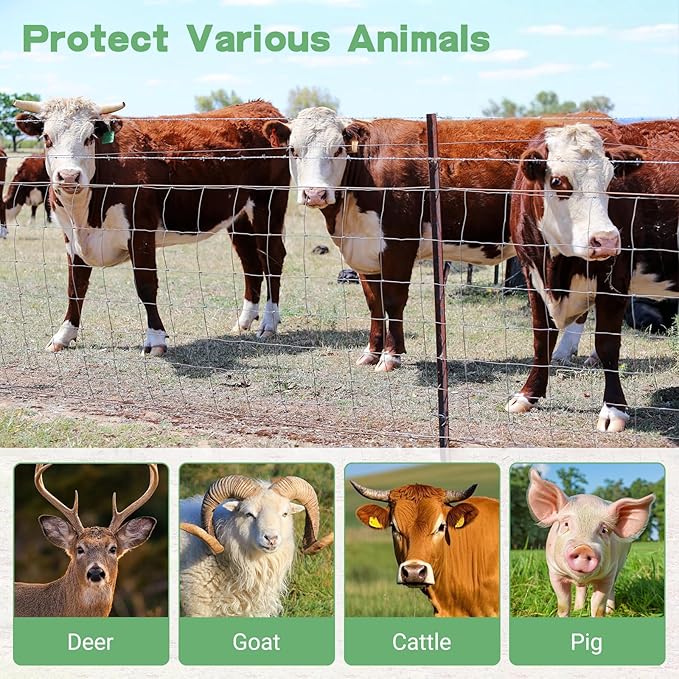 5ft x 164ft Farm Fence, Wire Fence Rolls, Galvanized Farm Fence, Cattle Fence, Hog Wire Fence Panels, Heavy Duty Wire Mesh for Deer, Pig, Sheep Enclosure for Yard, Garden, Field Use-13 Gauge