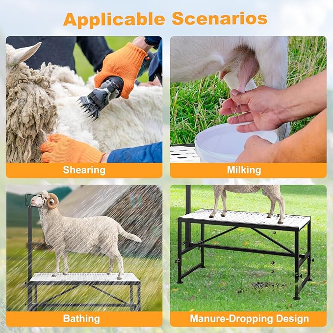 Goat Milking & Shearing Stand Bundle—47" × 22.5" Polymer Platform, 650 lbs Capacity + Matching 47" × 22.5" Non-Slip Ramp & Adjustable Riser, Easy-Clean, Fits Goats & Sheep