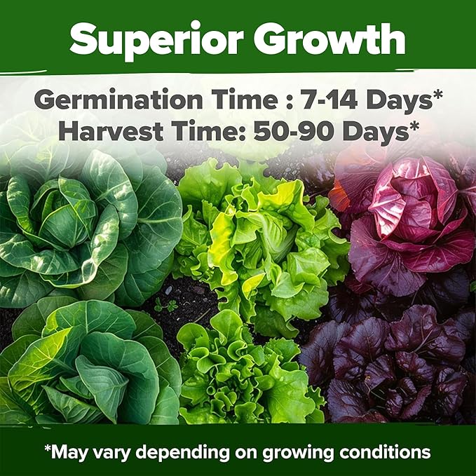 HOME GROWN 11,500+ Heirloom Lettuce Seeds - 10 Varieties Including Romaine, Buttercrunch, Iceberg, Kale & Spinach - Non-GMO USA Seeds for Planting Indoor, Outdoor & Hydroponic Gardens