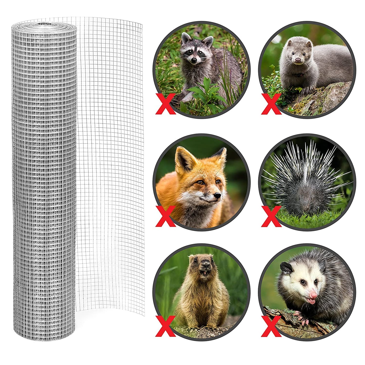 LAN JIA 1/2inch Galvanized Hardware Cloth 24" x 100' 19 Gauge Hot-Dip Galvanized After Welding Chicken Wire Raised Garden Bed Plant Supports Poultry Netting Chicken Wire Fence Wire Mesh Roll