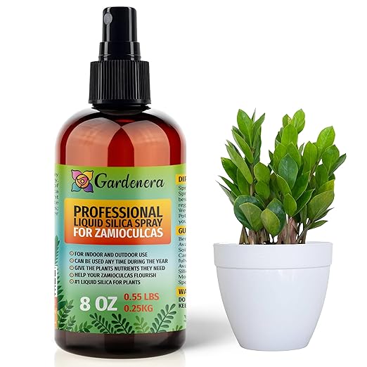 𝐒𝐔𝐏𝐄𝐑𝐈𝐎𝐑 Liquid Silica Boost Fertilizer and Supplement Spray for ZAMIOCULCAS Plants – Pre-Mixed, Ready-to-Use Liquid Silicon Plant Superfood Mist for Indoor & Outdoor Plants – 8oz