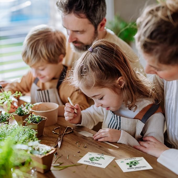 15 Certified Organic Herb Seeds Variety Pack (4X More) 10,000+ Non GMO Seeds for Planting Indoor Herb Garden or Outdoor Herb Garden Seeds for Planting | Including Basil, Rosemary & More
