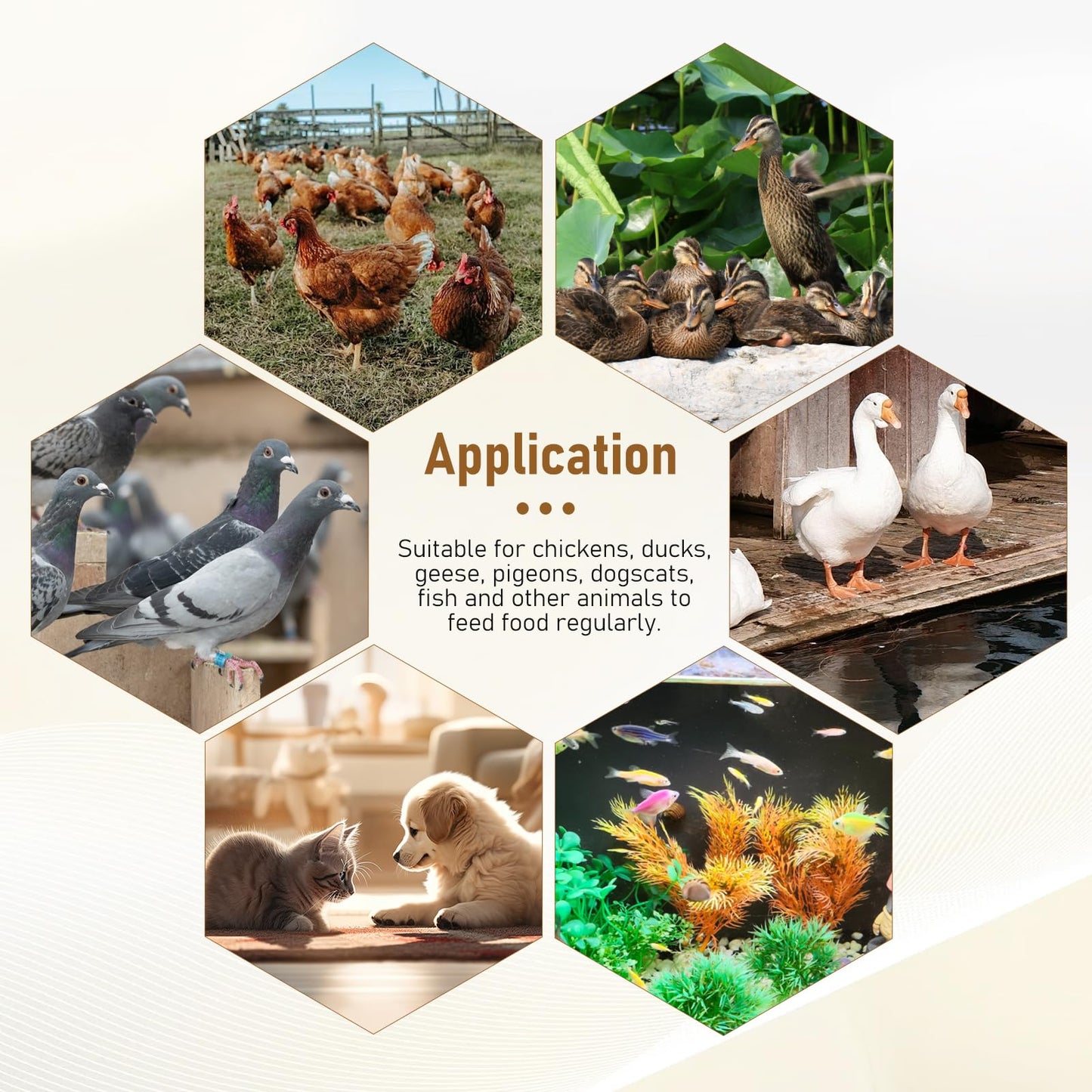 PKNYBZH Timed Automatic Chicken Feeder and Duck Feeder, Timed Poultry Feederer Great for Chickens, Ducks, Geese, Pigeons, Fish, Dogs, Fish, Cats