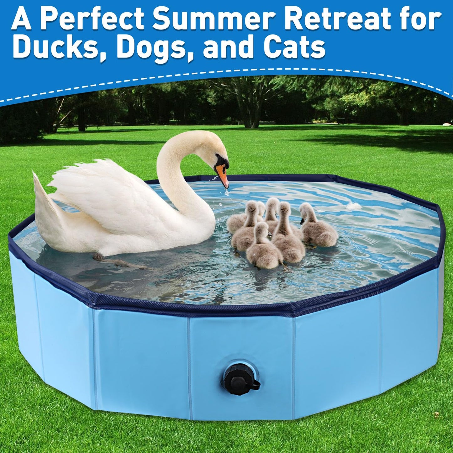 Hdnbsp Foldable Duck Pool, Portable Hard Plastic Duck Pond Tub, Collapsible Duck Pools for Pet Ducks, Dogs and Cats – Indoor & Outdoor Use, Hard Shell, Easy to Clean and Store