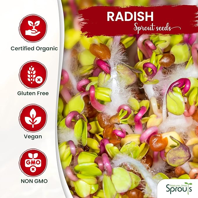 Nature Jims Radish Sprout Seeds – 16 Ounce Organic Sprouting Seeds – Non-GMO Premium Radish – Resealable Bag for Longer Freshness Rich in Vitamins, Minerals, Fiber