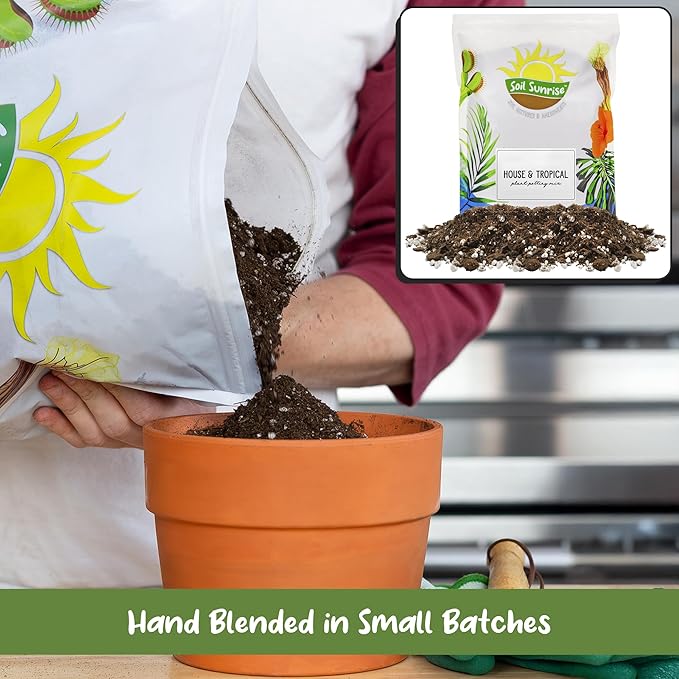 Tropical House Plant Potting Mix (2 Quarts); for All Types of Indoor House Plants