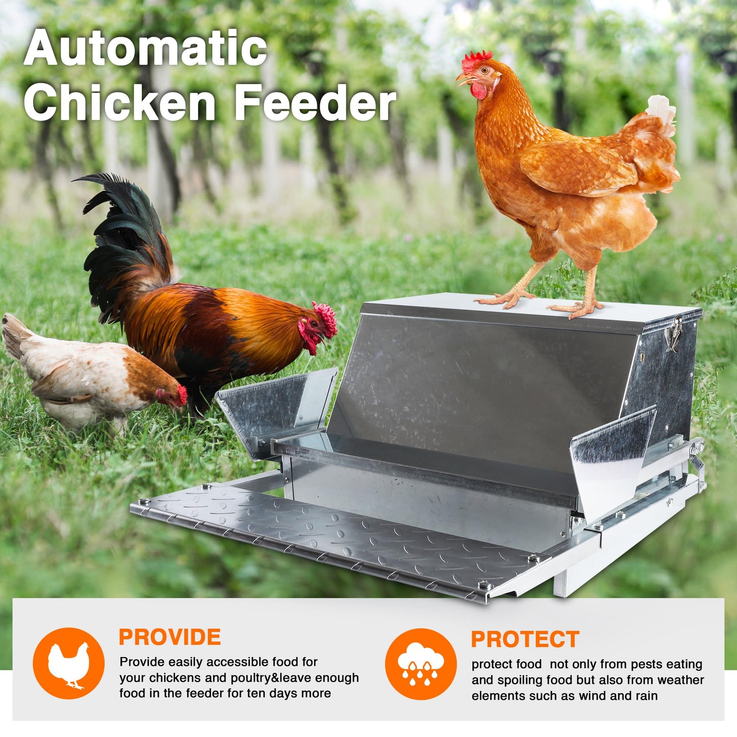 YUMOE Chicken Feeder Galvanized 25Lbs Capacity Weatherproof Treadle Chicken Feeder Rodent Proof