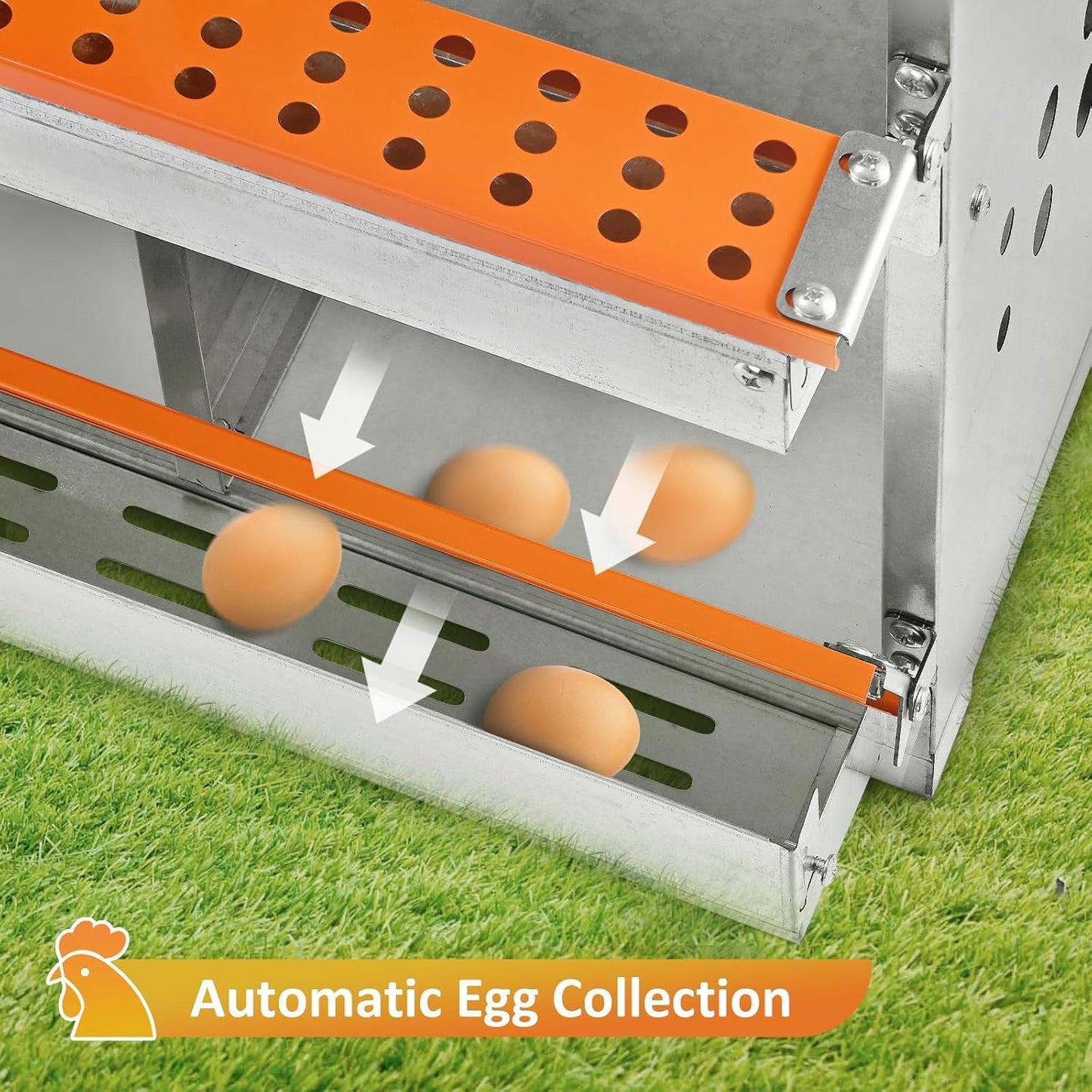 FuzzlyCo Chicken Nesting Box, 10 Compartment Nesting Boxes for Chicken Laying Eggs, Metal Chicken Laying Boxes with Roll Away Egg Collection, Heavy Duty Chicken Coop Nest Box