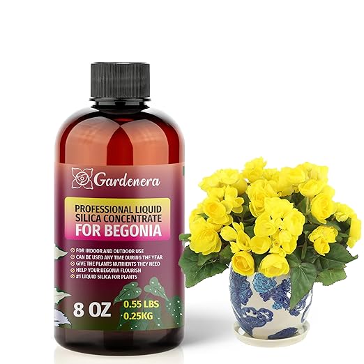 𝐏𝐑𝐄𝐌𝐈𝐔𝐌 Liquid Silica Plant Supplement - 8oz (250mL) - Begonia Plants Liquid Silica Boost Fertilizer - Stronger Stems & Healthy Leaves for Indoor & Outdoor Begonia Plants (Makes 45 Gallons)