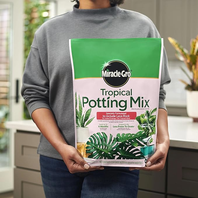 Miracle-Gro Tropical Potting Mix, For Container Plants, Use with Snake Plants, Spider Plants, Pothos, Monstera, 6 qt., 3-Pack