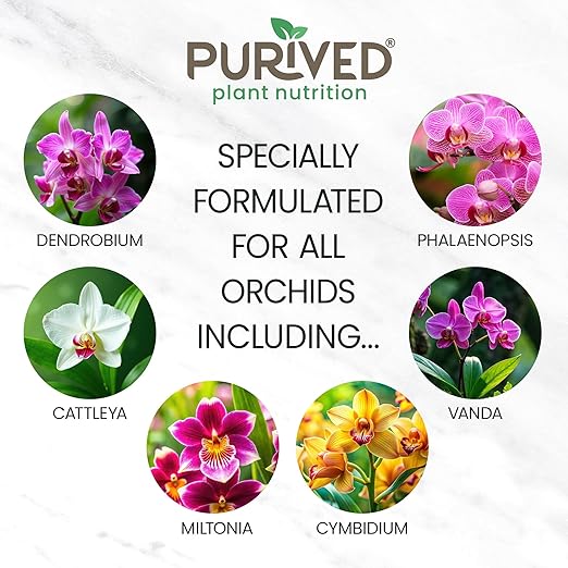 Purived 16oz Orchid Liquid Fertilizer - Makes 50 Gallons, Boosts Blooms & Root Strength, Ideal for Phalaenopsis, Dendrobium & More, Supports Vibrant, Long-Lasting Flowers, Made in USA