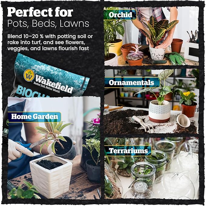 Wakefield Premium Biochar Soil Conditioner – 100% Pure Organic Biochar Soil to Boost Nutrient Retention and Water Efficiency for Houseplants, Gardens, & Lawns – 4 Quarts