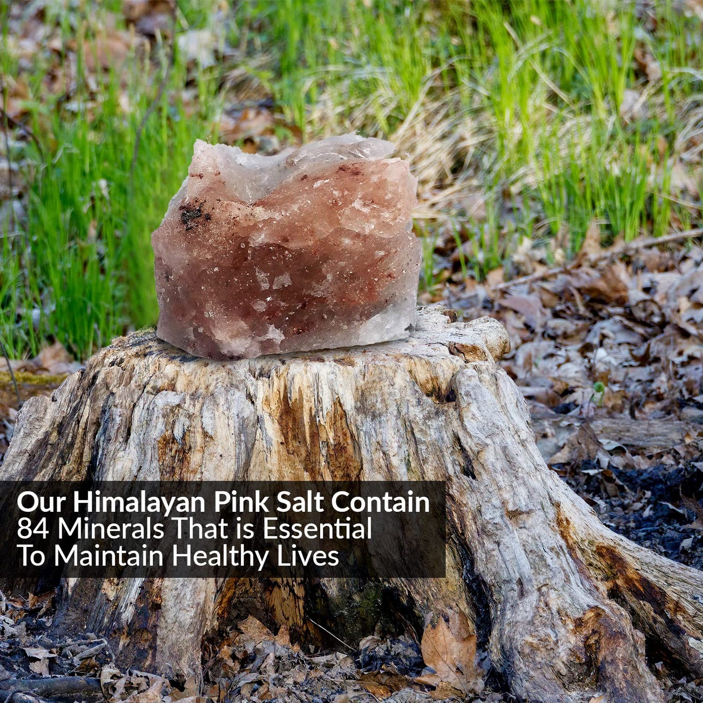 Himalayan Nature Animal Licking Pink Salt Rock Lick Deer, 5 Pound, Natural Mineral Block, Hand-Carved, Ideal for Wildlife, Hunting, Photography, Health