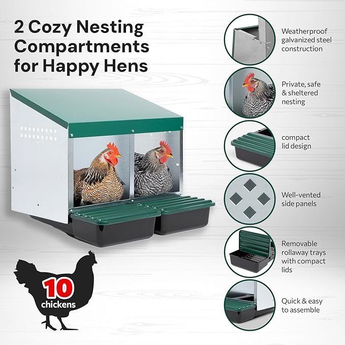 Compact Style 2 Compartment, Forward Rollout & Rollaway, Hen & Chicken Nesting Box with Protective Egg Laying Collection Lids