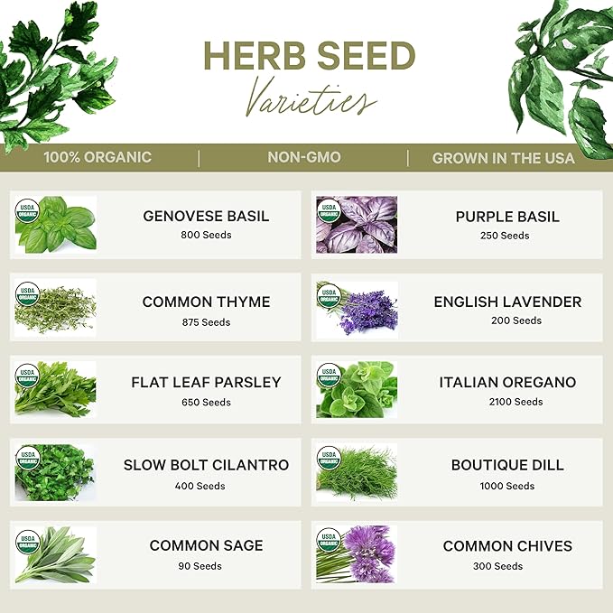 Certified Organic Herb Seeds Variety Pack (10-Pack) - 6,500+ Non GMO, Heirloom - Lavender, Basil, Thyme, Parsley, Oregano, Sage, Dill, Chives Herbs Seeds for Indoor & Outdoor Planting