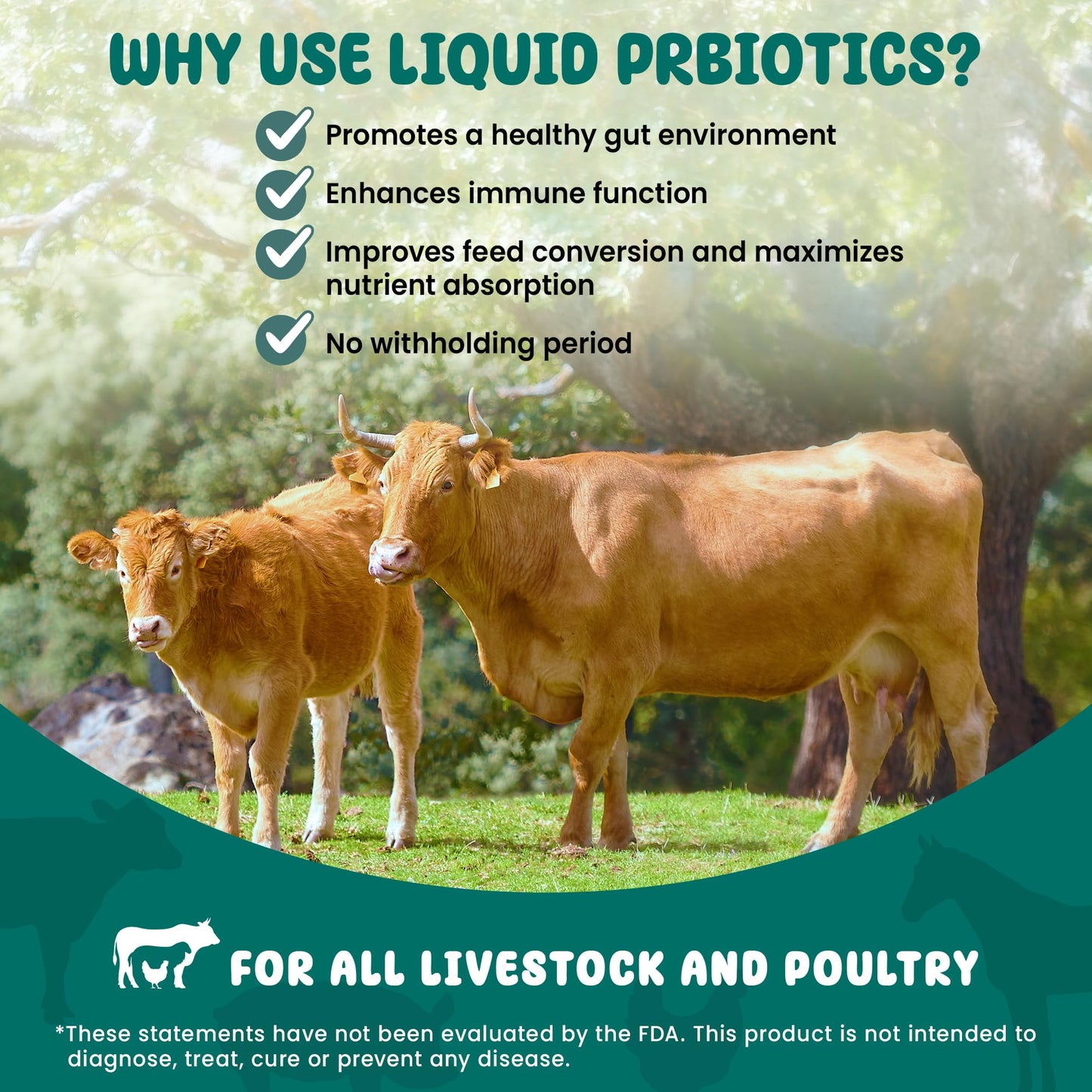SCD Bio Livestock - Liquid Probiotic Feed & Water Additive, Organic Digestive Supplement for Cows, Pigs, Horses, Chickens, Ducks, Rabbits by SCD Probiotics