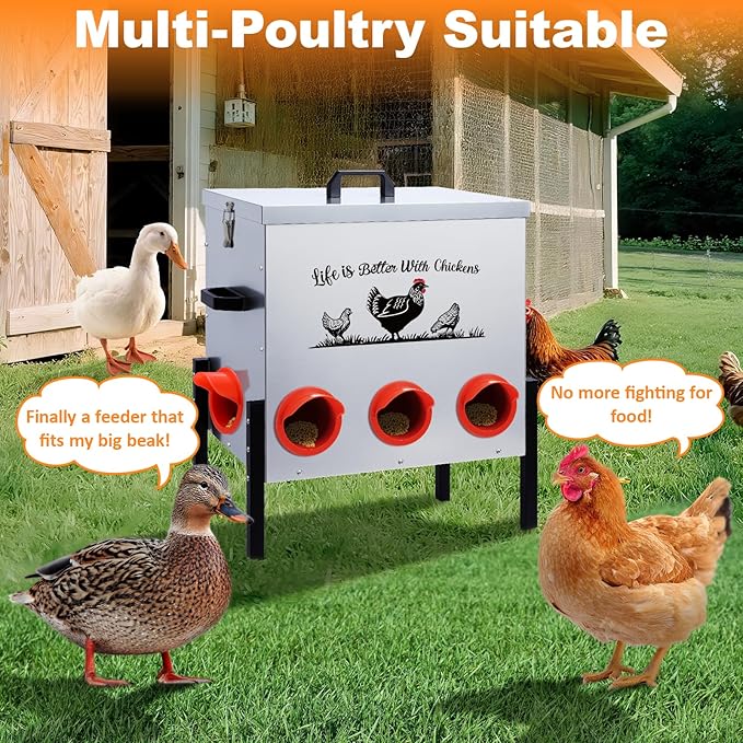50LB Automatic Chicken Feeder–8 Feeding Ports No-Waste Galvanized Metal Chicken Feeder Box with Adjustable Legs & Locking Lid Poultry Feeder for Chickens,Ducks,Geese,Rust-Resistant