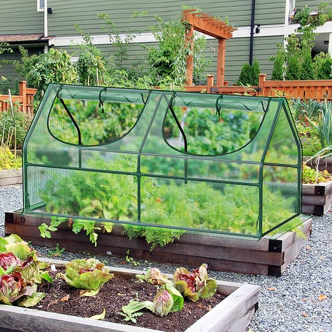 GreatBuddy Portable Mini Greenhouse, 3×3×6Ft, High-Density PE Plant Cover with 2 Roll-up Zipper Windows, Perfect for Indoor Outdoor Plant Growing