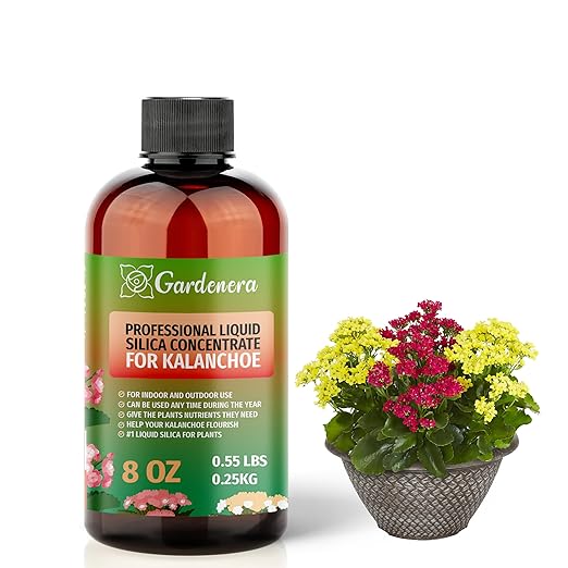 𝐏𝐑𝐄𝐌𝐈𝐔𝐌 Liquid Silica Plant Supplement - 8oz (250mL) - KALANCHOE Plants Liquid Silica Boost Fertilizer - Stronger Stems & Healthy Leaves for Indoor & Outdoor Kalanchoe Plants (Makes 45 Gallons)