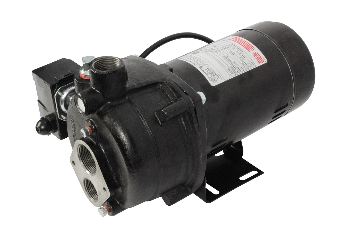 WAYNE CWS100 - 1 HP Cast Iron Convertible Jet Well Pump - Up to 588 Gallons Per Hour - Heavy Duty Jet Well Pump, Black