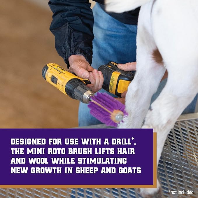 Weaver Leather Mini Roto Brush for Livestock, Wool/Hair Stimulating and Grooming Brush for Goat Sheep Cattle, Use with Drill, Coat Deshedding Tool