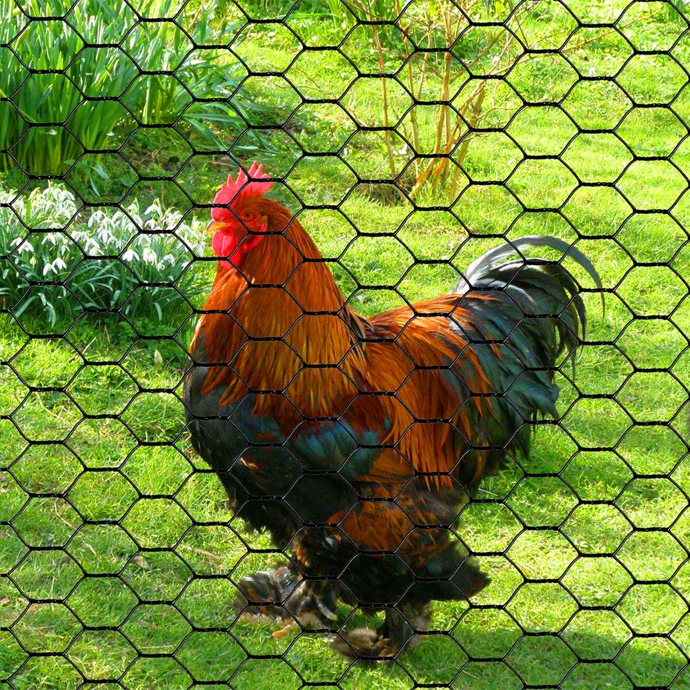 PVC Hexagonal Poultry Netting Chicken Wire 48 inches x 50 feet x 1 inch Mesh 20GA Black