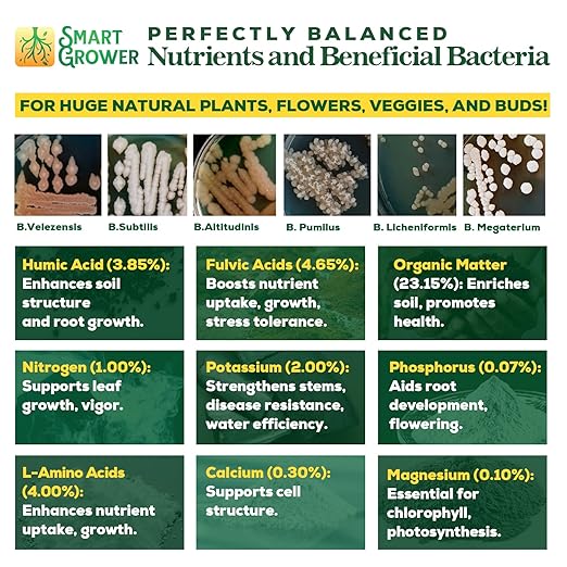 Organic Plant Food with Beneficial Microbes, Fast Acting Vegan Fertilizer for Vegetable Garden, Outdoor & Indoor Plant Fertilizer, Miracle Growth for Plants Concentrated Value 500GR Makes 120 gallons