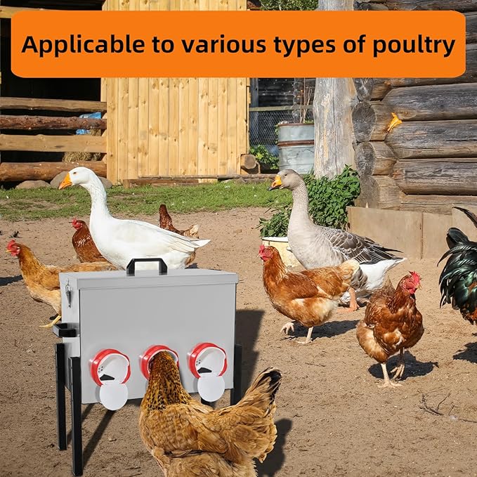 Automatic Poultry Chicken Feeder No Waste Metal Large Capacity 30 lbs Feeders for Chickens Ducks, Geese Bantams Pheasants Coop Weatherproof (6-Port)