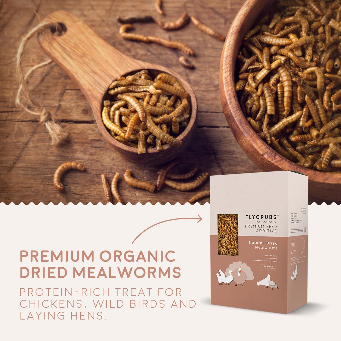 FLYGRUBS Superior to Dried Mealworms for Chickens (20 lb) 85X More Calcium Non-GMO Chicken Feed Additive & Molting Supplement - BSFL Treats for Hens, Ducks, Turkeys, Wild Birds, Turtles, Quails