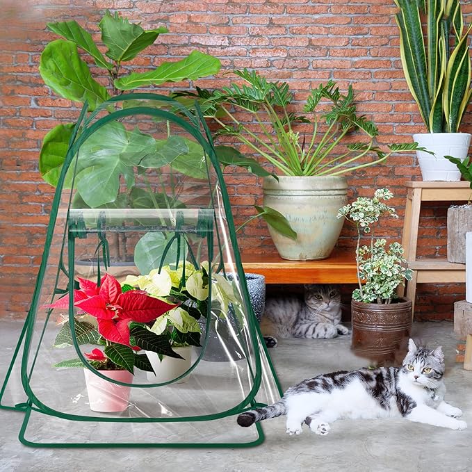 Woanger 4 Pieces Mini Greenhouse Pop up Flower Cover 27 x 27 x 31 in Small Sunshine Room Portable Cold Frost Protector for Indoor Outdoor Backyard PVC Gardening Plant, Individual Package with Tools