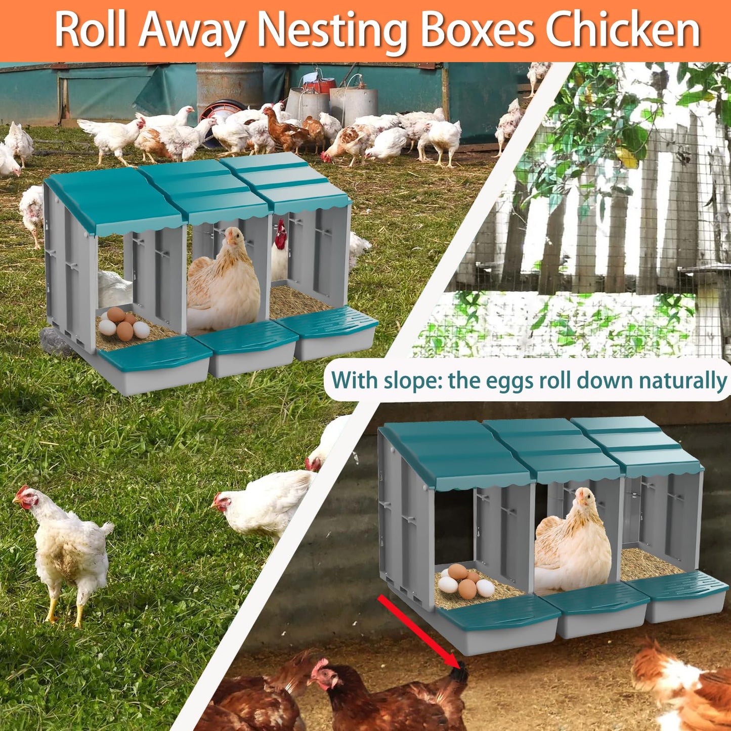 JELSVOP Nesting Boxes for Chickens, Chicken Nesting Boxes with Egg Collection & Perch for Easy Picking Protecting Eggs, Nesting Boxes for Laying Eggs with 6 Compartments
