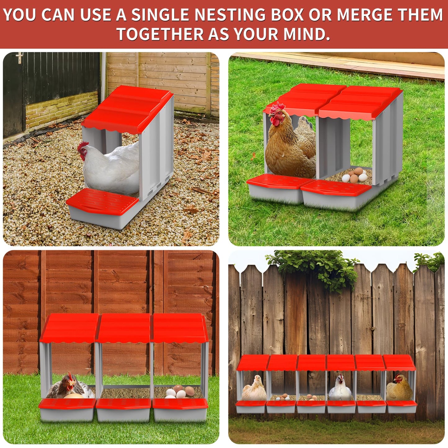 DETODDA Chicken Nesting Boxes for Laying Eggs, Roll Out Nesting Boxes for Chickens, Chicken Laying Boxes with Egg Roll Out, Eggs Collection Area to Protect Eggs for Chicken Coop, 8 Holes