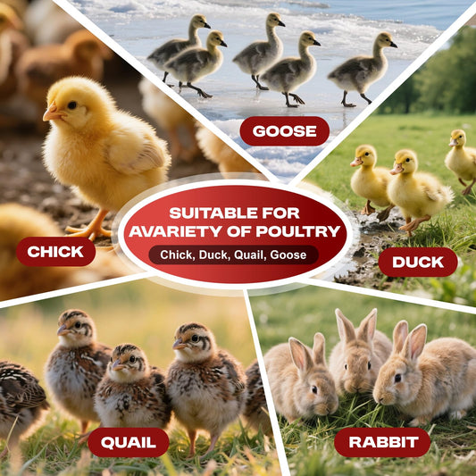 Chicken Brooder Box for Baby Chicks with Removable Floor Tray & Ventilated Design - Portable Baby Chicken Cage, Durable Chick Brooder Pen for Ducklings Turkey Poults