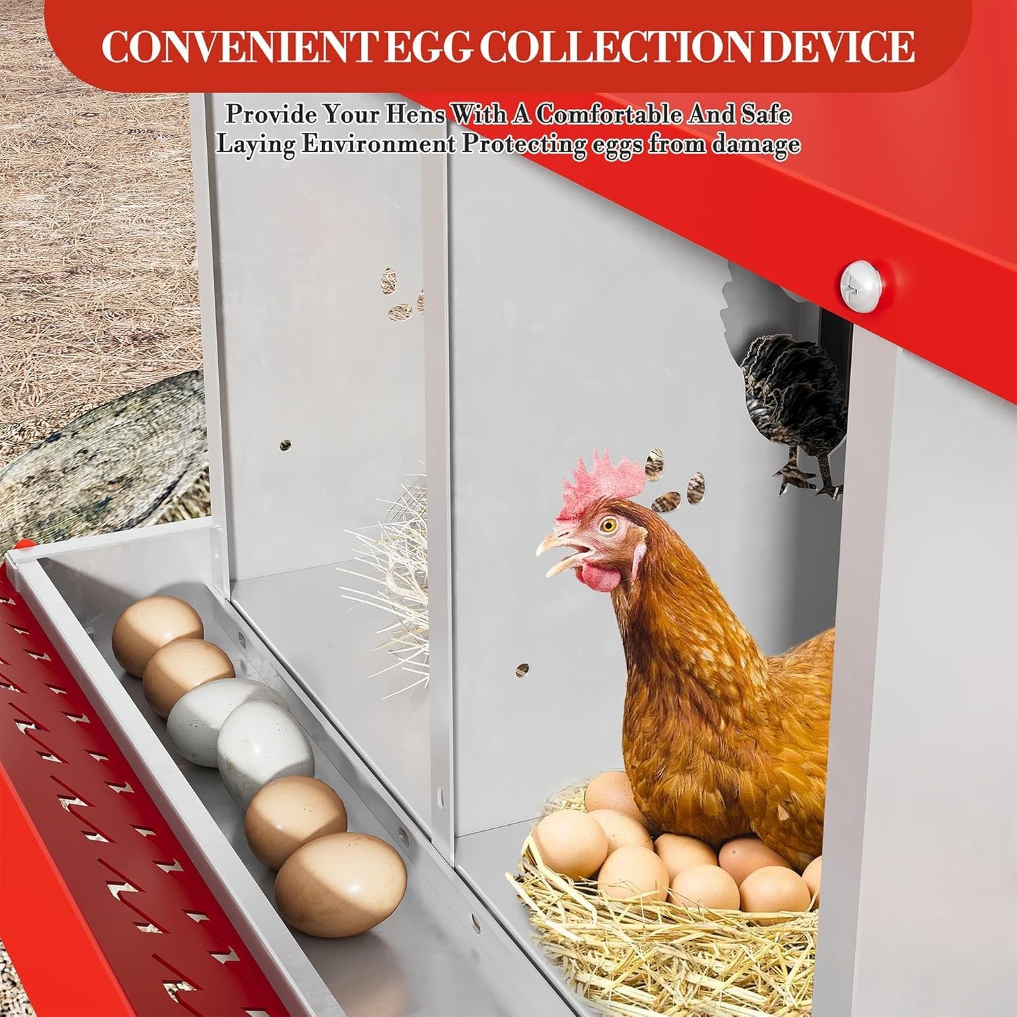 Chicken Nesting Box, 8 Hole Chicken Nesting Box with Legs, Metal Chickens Laying Boxes with Perch, Metal Roll Away Eggs Laying Boxes, Versatile Wall Mount or Free Standing for Chickens